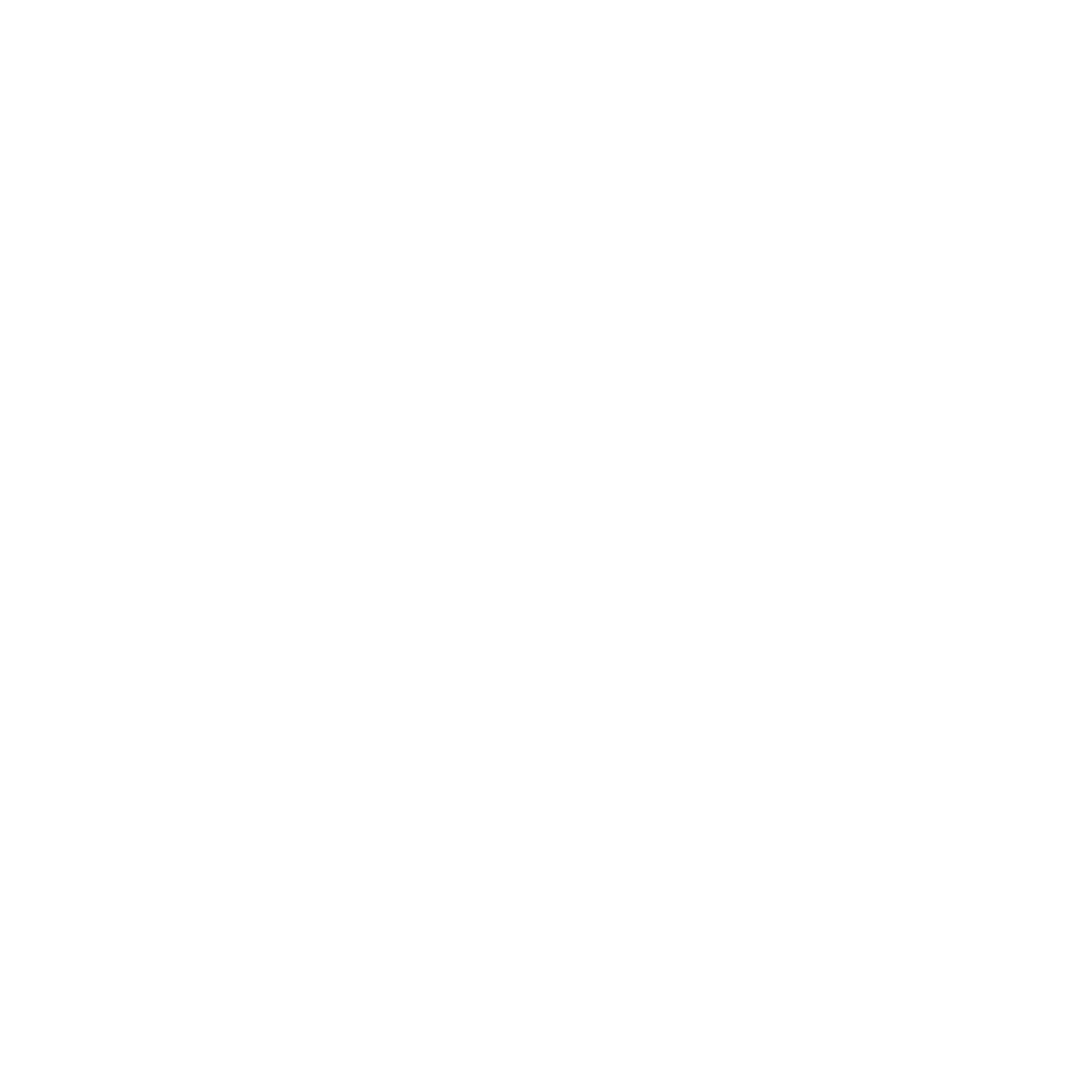 Fiber Cable Icon White