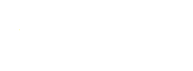 smart-biz-image white